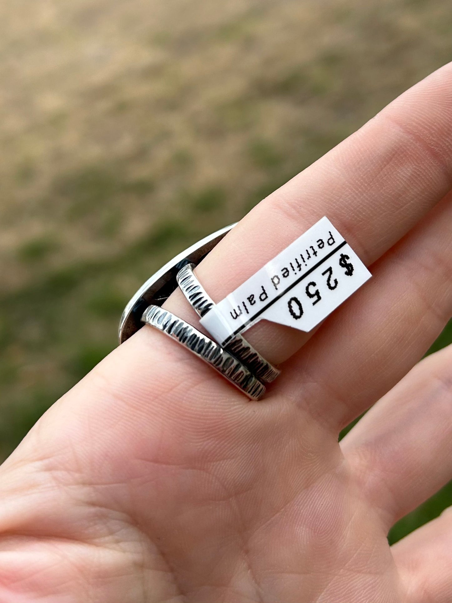 Gemstone Ring with Sterling Silver and Petrified Palm Wood